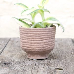 River Textured Plant Pots For Baby Plants (3 colours)