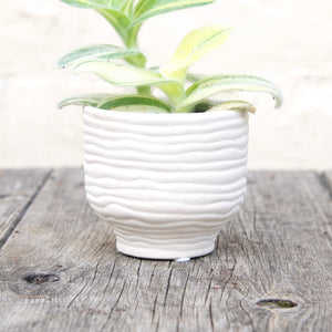 River Textured Plant Pots For Baby Plants (3 colours)