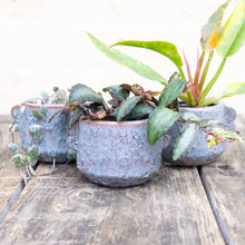 Load image into Gallery viewer, Shay Ceramic Plant Pot
