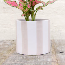 Load image into Gallery viewer, Striped Ceramic Pot Taupe

