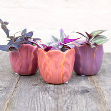Load image into Gallery viewer, Tulip Plant Pot (3 Colours)
