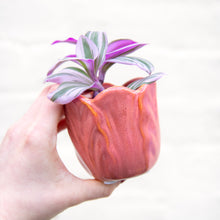 Load image into Gallery viewer, Tulip Plant Pot (3 Colours)
