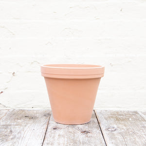 Terracotta Plant Pots, Saucers & Bowls