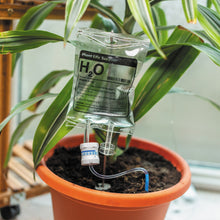 Load image into Gallery viewer, Plant Life Support - Houseplant Watering Device
