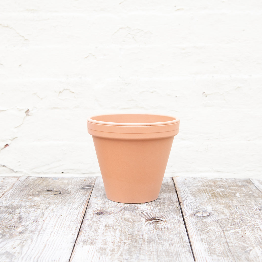 Terracotta Plant Pots, Saucers & Bowls
