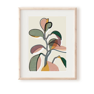 Baby Rubber Plant Art Print