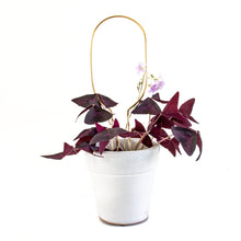 Load image into Gallery viewer, Set of 4 Mini Plant Stakes - Gold
