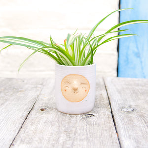 Croucherli: Handmade Ceramic Plant Pots