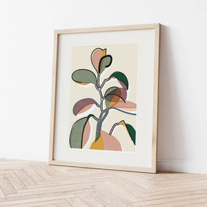 Baby Rubber Plant Art Print