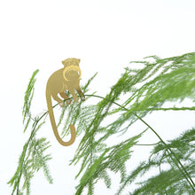 Load image into Gallery viewer, Plant Animal - Tamarin
