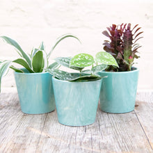 Load image into Gallery viewer, Aqua Daira Plant Pot 8cm
