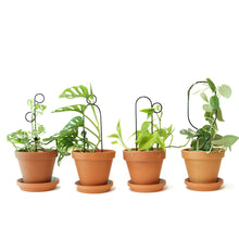 Load image into Gallery viewer, Set of 4 Mini Plant Stakes - Black
