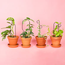 Load image into Gallery viewer, Set of 4 Mini Plant Stakes - Black
