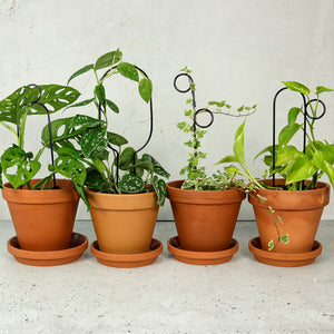Set of 4 Mini Plant Stakes - Black