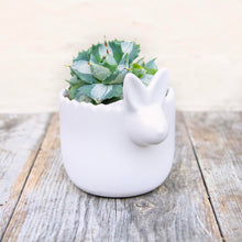 Load image into Gallery viewer, Ceramic White Rabbit Pot
