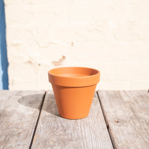 Terracotta Plant Pots, Saucers & Bowls