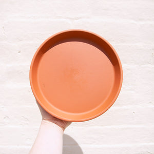 Terracotta Plant Pots, Saucers & Bowls