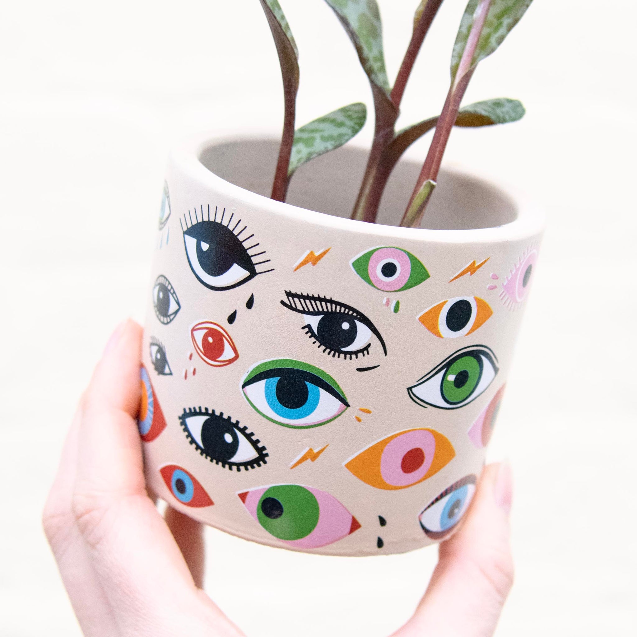 8cm plant pot Illusion Eye Concrete Plant Pot 8cm – Moose Plant Shop