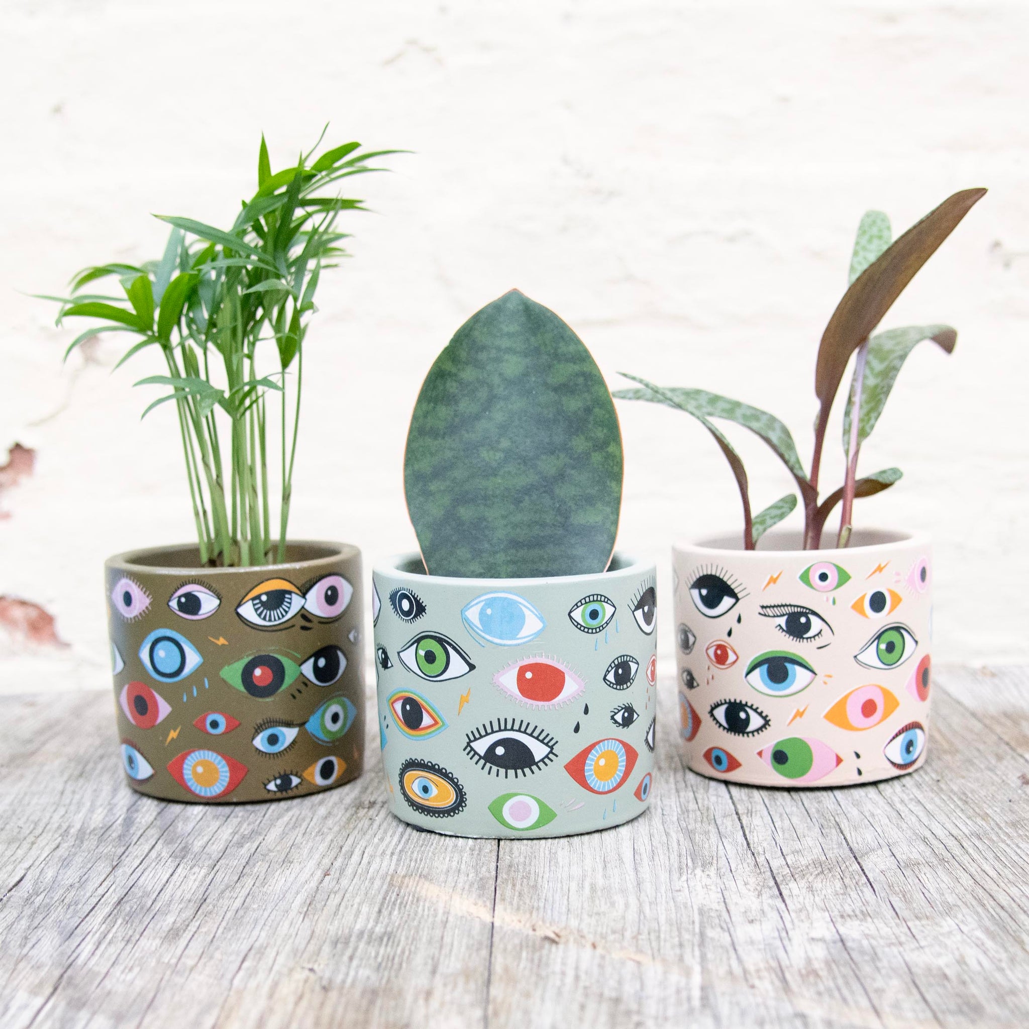 8cm plant pot Illusion Eye Concrete Plant Pot 8cm – Moose Plant Shop