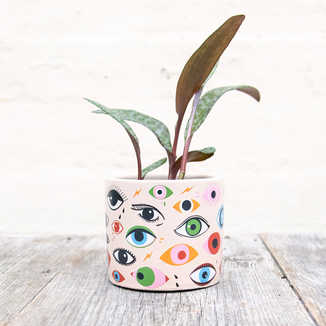 Illusion Eye Concrete Plant Pot 8cm