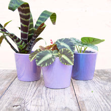 Load image into Gallery viewer, Lilac Daira Plant Pot 8cm
