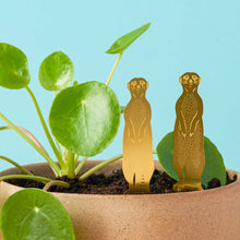 Load image into Gallery viewer, Plant Animal - Meerkat

