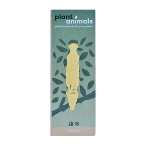 Plant Animal - Meerkat
