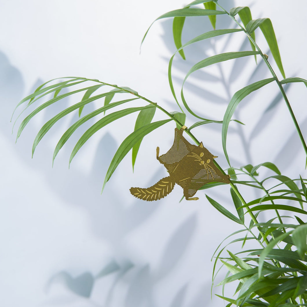 Plant Animal - Flying Squirrel