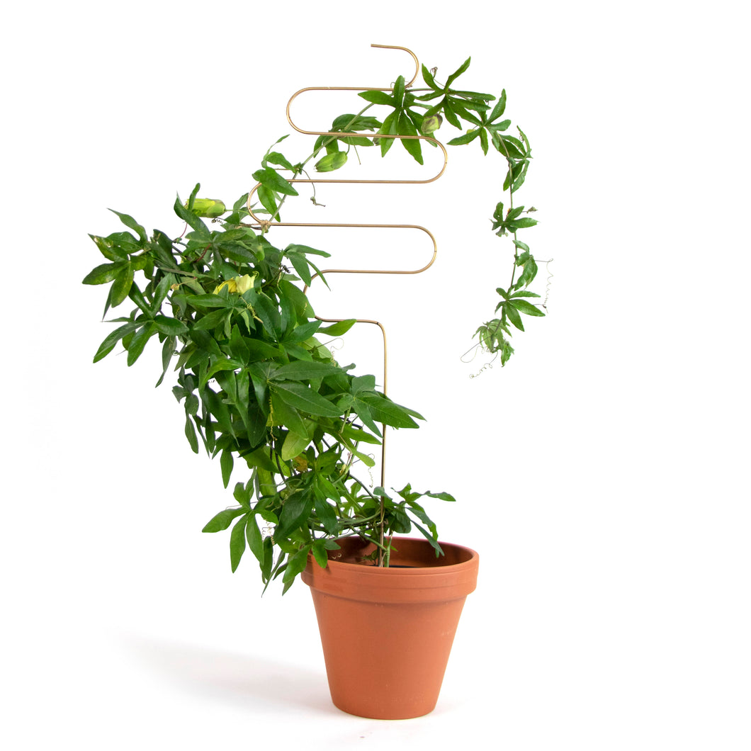 Golden Plant Stake