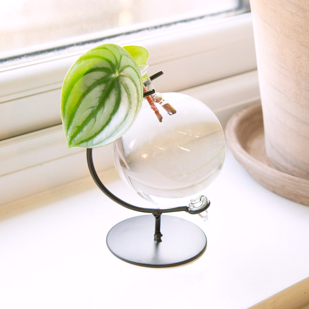 Orb Propagation Station