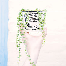 Load image into Gallery viewer, Senecio Herreianus 'String of Pearls'
