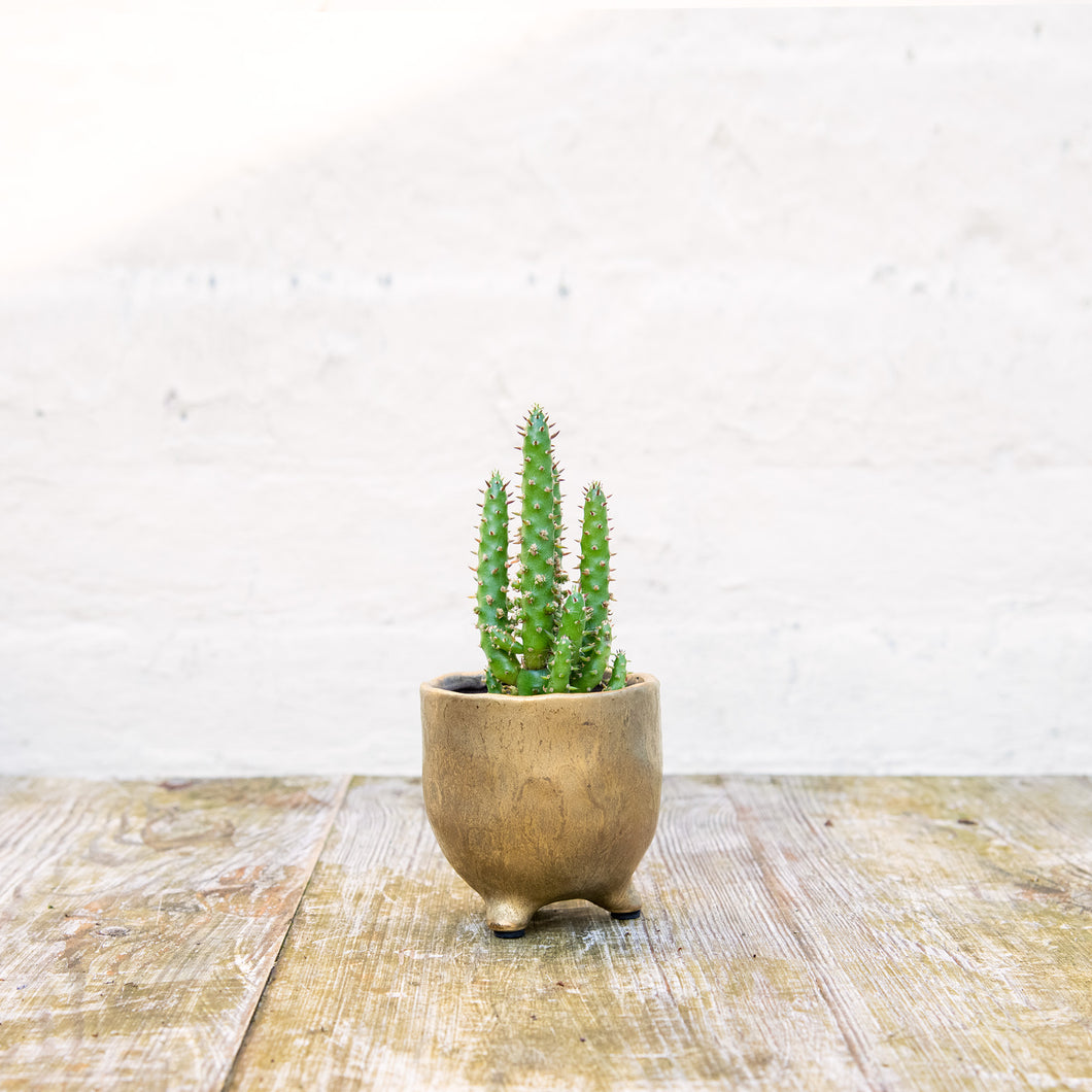 St Tropez Gold Pot (3 sizes)