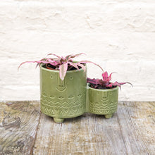Load image into Gallery viewer, Plant Pot Family 9cm &amp; 6cm (Grey, Orange, White, Pink &amp; Green)

