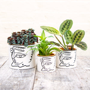 Abstract Face Plant Pot (3 sizes)