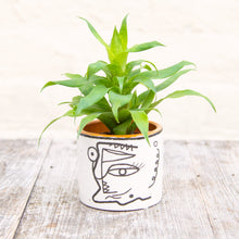 Load image into Gallery viewer, Abstract Face Plant Pot (3 sizes)
