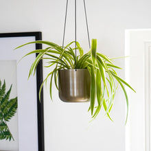 Load image into Gallery viewer, Kew Matt Hanging Planter with Hook (Brass &amp; Copper)
