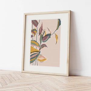 Tradescantia Zebrina No. 2 Art Print