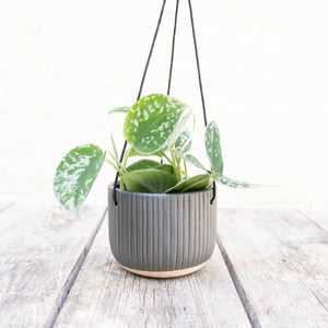 Grooved Hanging Planter Black