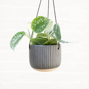 Grooved Hanging Planter Black