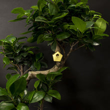 Load image into Gallery viewer, Tiny Birdhouse For Your Plants
