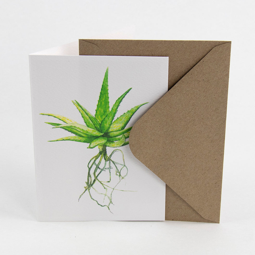 Aloe Greeting Card