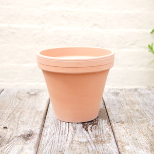 Terracotta Plant Pots, Saucers & Bowls