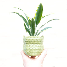 Load image into Gallery viewer, Baby Owl Plant Pot (3 colours)
