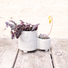 Load image into Gallery viewer, Plant Pot Family 9cm &amp; 6cm (Grey, Orange, White, Pink &amp; Green)
