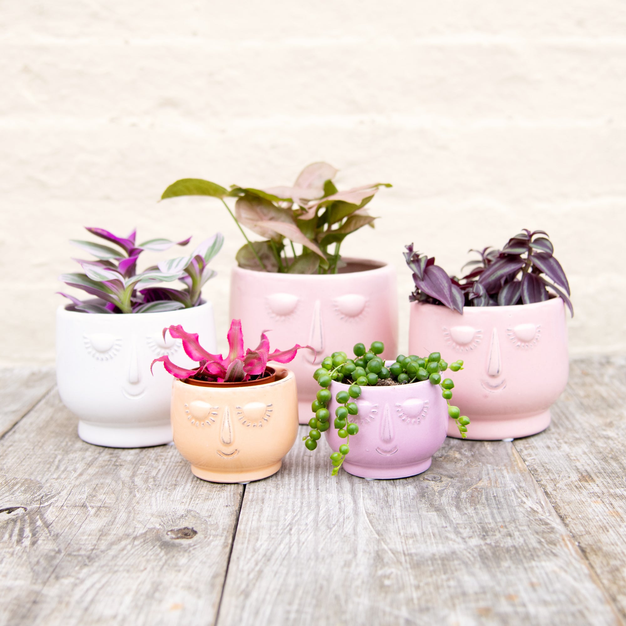 plant pots with faces uk Happy Face Plant Pots – Moose Plant Shop