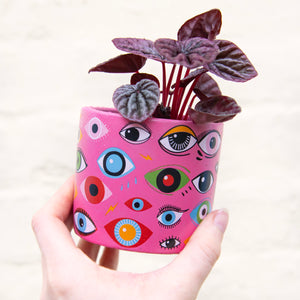 Illusion Eye Concrete Plant Pot 8cm