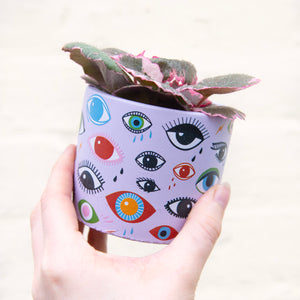 Illusion Eye Concrete Plant Pot 8cm