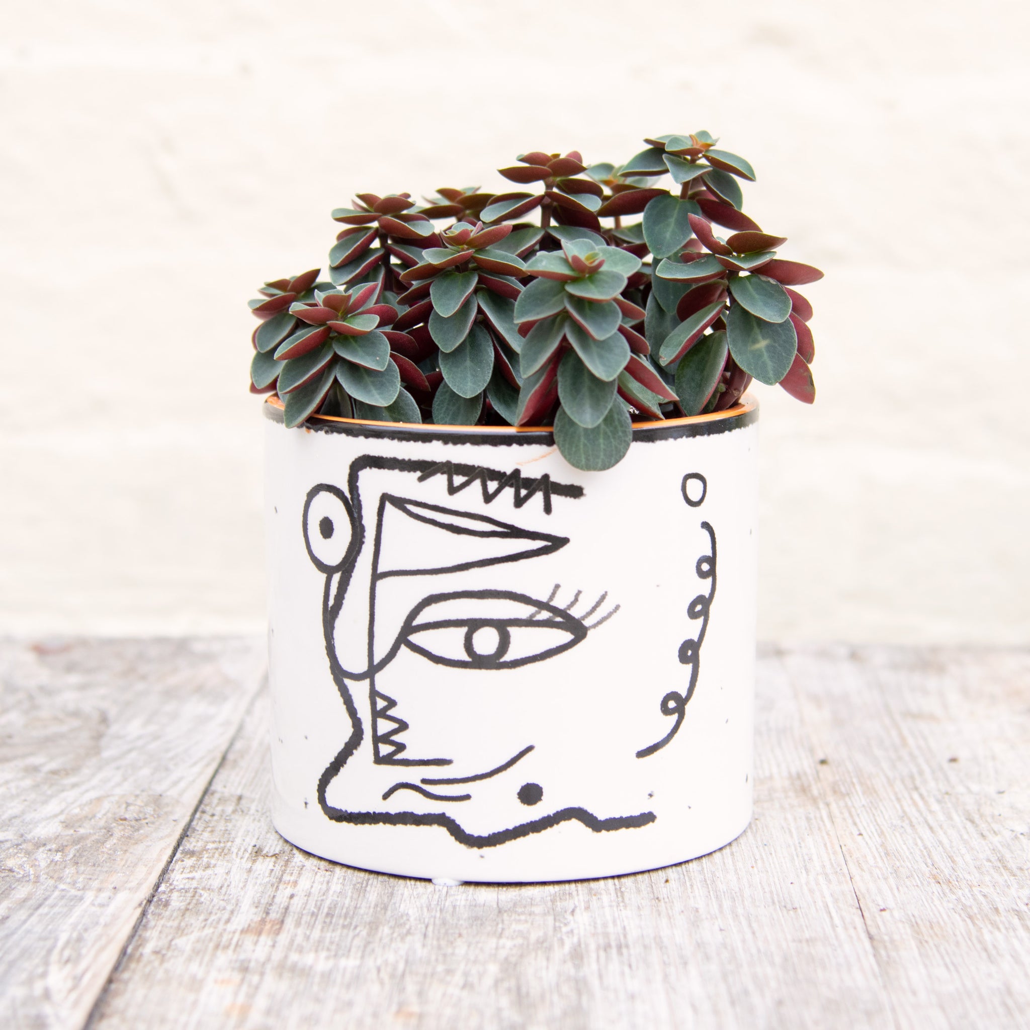 abstract face plant pot Abstract Face Plant Pot (3 sizes) – Moose Plant Shop