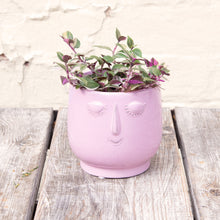 Load image into Gallery viewer, Happy Face Plant Pots
