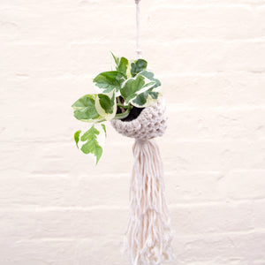 Macramé Plant Holder